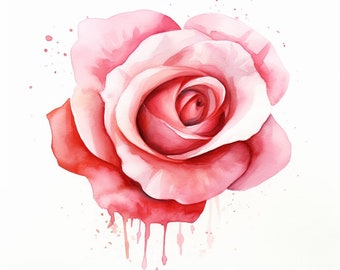 May include: A watercolor painting of a pink rose with red accents. The rose is painted with a dripping effect, creating a soft and romantic look.