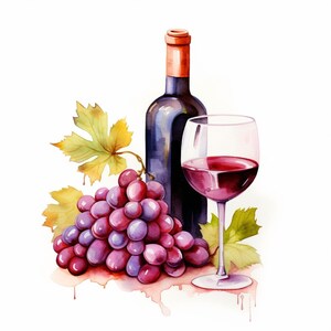 20 Wine Glass Bottle Watercolor Cocktail Grape Clipart Digital Downloads