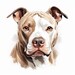 Pitbull Clipart Dog Art Printable 20 Digital Downloads - Etsy
