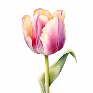 Enkele tulp clipart 13 hoge kwaliteit JPGs digitale download kaart maken van Mixed Media digitale papier Craft