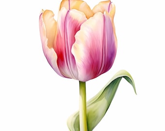 Single Tulip Clipart 13 High Quality JPGs Digital Download Card Making Mixed Media Digital Paper Craft