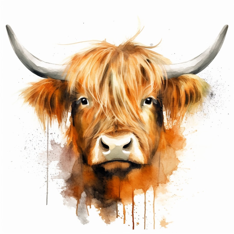 May include: Watercolor painting of a Highland cow with long, reddish-brown fur and a white face. The cow is looking directly at the viewer with a gentle expression. The background is a soft white with watercolor splatters.