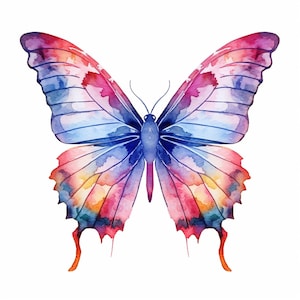 Watercolor Rainbow Butterfly Clipart 20 Printable  High Quality JPGs Digital Download Card Making Digital Paper Craft