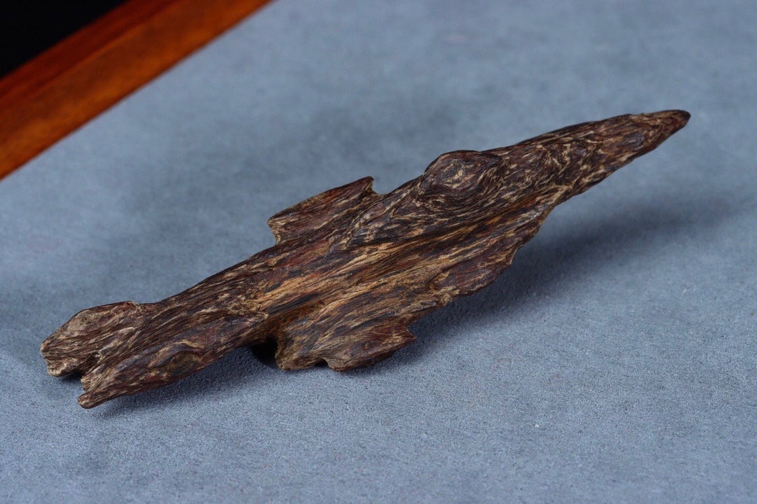 100% Sedum Wood From Darakan Sedum Pendant With Scarred Sinker Old ...