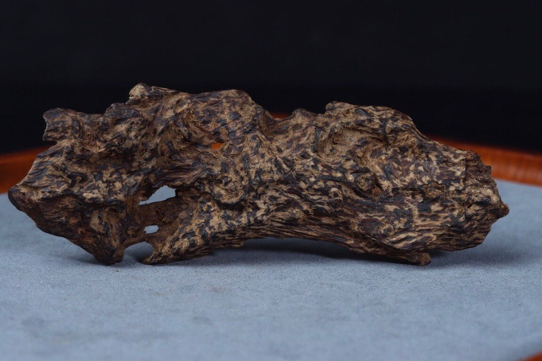 Collection Grade Indonesia Darakan Scarred Sinking Incense Wood Old ...