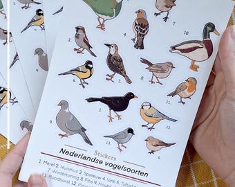 Dutch Bird Species | Stickersheet