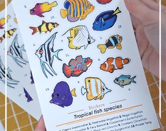 Tropical Fish Species | Stickersheet