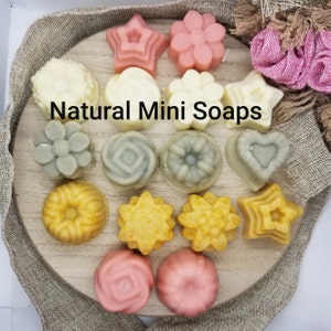 Small Soap Set, Twin Pack, Lavender, Lemon Lime, Eucalyptus, Tangerine Orange, Mini Travel Size, Vegan, Natural Handmade, Floral, Star, Gift
