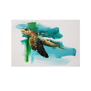 The Turtle, Limited Edition Art Print, Mixed Media, Acrylic Paint Artwork, Animal Art, Home Decor, A3, Gift for Animal Lovers