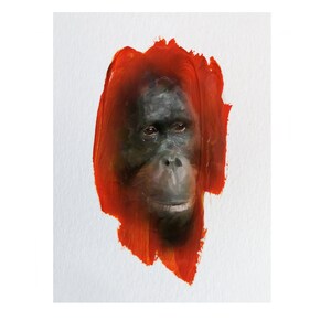 Animal Tears, Limited Edition Art Print, Mixed Media, Acrylic Paint Artwork, Animal Art, Home Decor, A3, Conservation Art, Orangutan Art