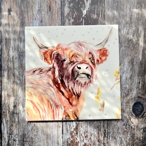 May include: A watercolour painting of a brown and white Highland cow against a white background. The cow is looking directly at the viewer with a gentle expression.