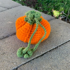 Pumpkin Dice Bag