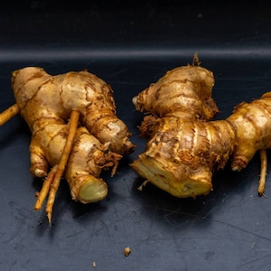 Shampoo Ginger Rhizomes (Zingiber Zerumbet)