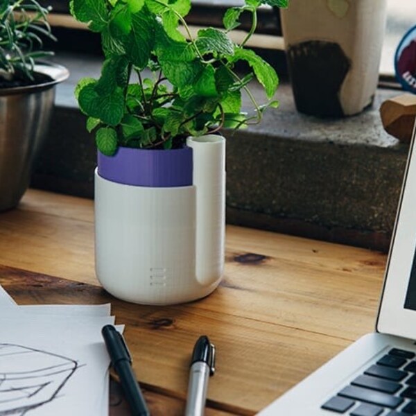 Self-Watering Planter