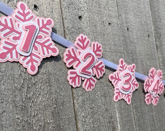 Snowflake Milestone Banner | Winter ONEderland, Snowflake Birthday, Winter Wonderland Custom First Birthday, Pink Blue Snowflakes