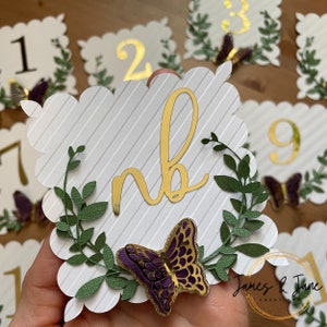 Fairy Garden Milestone Banner | Butterfly Banner, Garden Party Birthday, Monthly Photo Banner, First Year Banner, 12 Month Banner, Butterfly