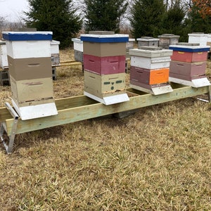 May include: A row of beehives painted in various colors, including white, brown, red, orange, and blue, are stacked on top of each other and placed on a wooden platform with metal supports. The beehives are in a grassy field.
