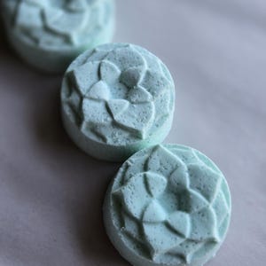 Shower Steamer for Aromatherapy - Peppermint and Eucalyptus - Fizzing Shower Bomb