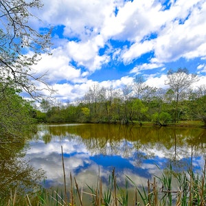 A Day at the Erwin Linear Trail