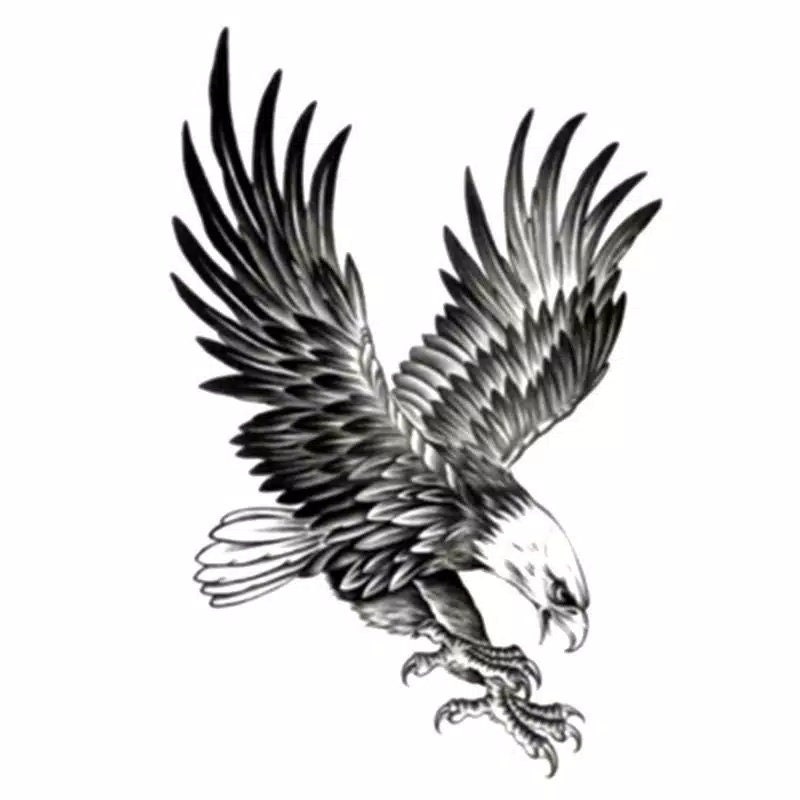 Eagle Tattoo Images  Browse 94058 Stock Photos Vectors and Video   Adobe Stock