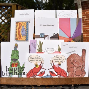 Funny Birthday Card Bundle | Set of 10 Unique Greeting Cards with Envelopes | Quirky Animal & Humor Birthday Cards Pack | Card Collection