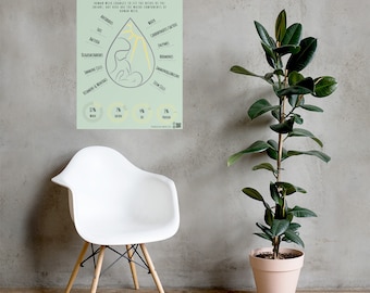 May include: A green and yellow infographic poster titled "Composition of Human Milk" with a teardrop-shaped illustration of a mother breastfeeding a baby. The poster lists the components of human milk, including water, carbohydrates, fats, proteins, and other nutrients. The poster also includes a pie chart showing the percentage of each component.