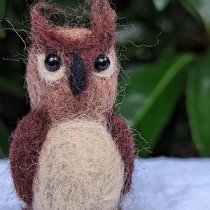 Needle-Felted Owl, Needle-Felted Animal, Needle-Felted Bird, Custom Gift, Custom Pet