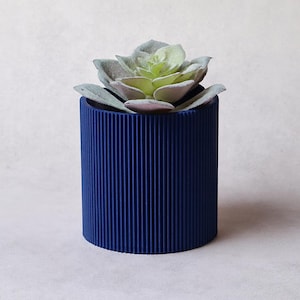 Cactus & Succulents Plant Pot: Eco-Friendly Non Plastic