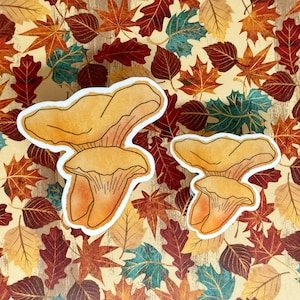 Mushroom Chanterelle Stickers, Chanterelle Stickers, Mushroom Stickers, Cute Stickers