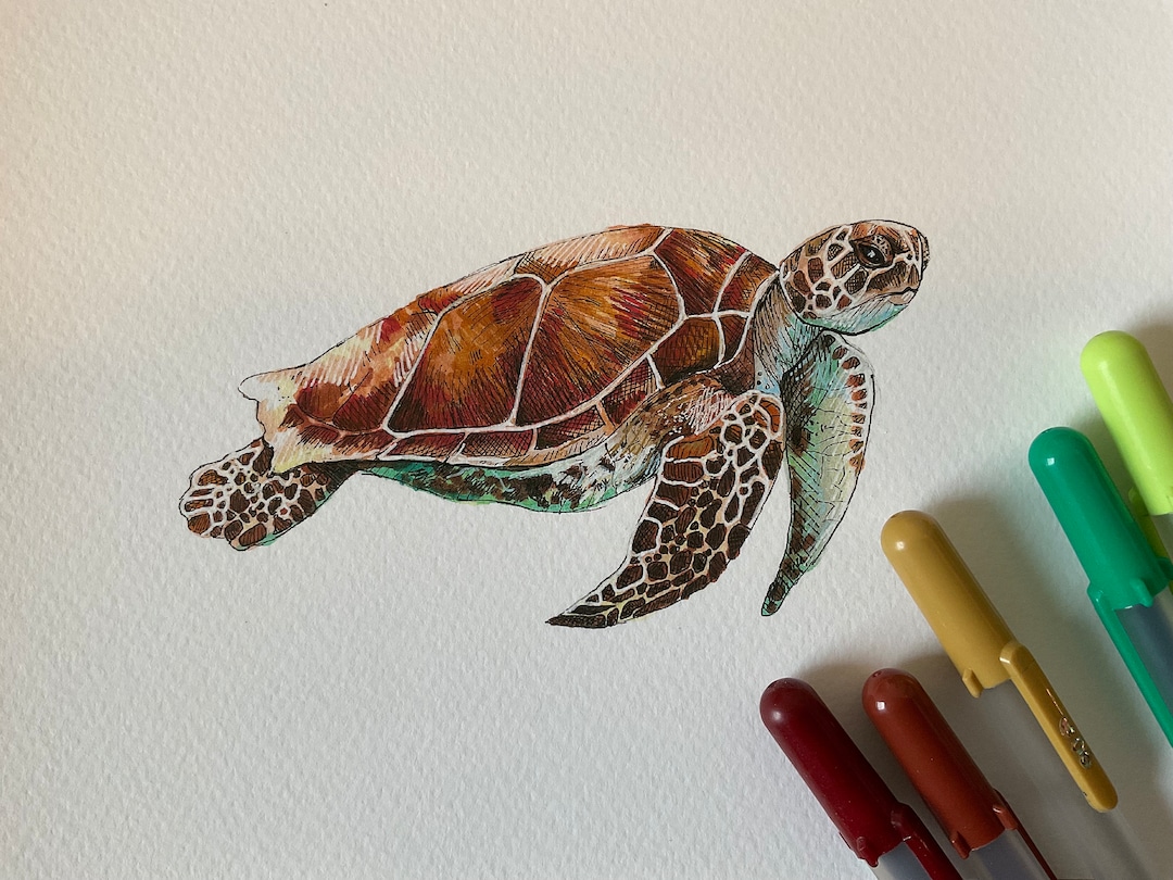 HAND DRAWN Turtle Art Print - Etsy