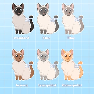 Siamese Cat Clear Acrylic Keychain | Double-Sided Cat Breed Glitter Charm | Kawaii Cute Cartoon Style Gift for Pet Lovers