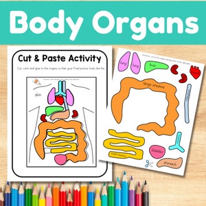 May include: A printable cut and paste activity for kids to learn about the human body. The worksheet shows a diagram of the human body with different organs labeled. The organs are also shown separately, ready to be cut out and glued onto the diagram.