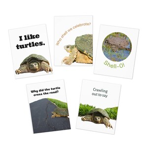Pode incluir: Um conjunto de cinco cartões de felicitações retangulares com tartarugas-mordedoras. Os cartões exibem várias imagens de tartarugas e textos, incluindo I like turtles, Who shell we celebrate, Shell-O, Why did the turtle cross the road e Crawling out to say.