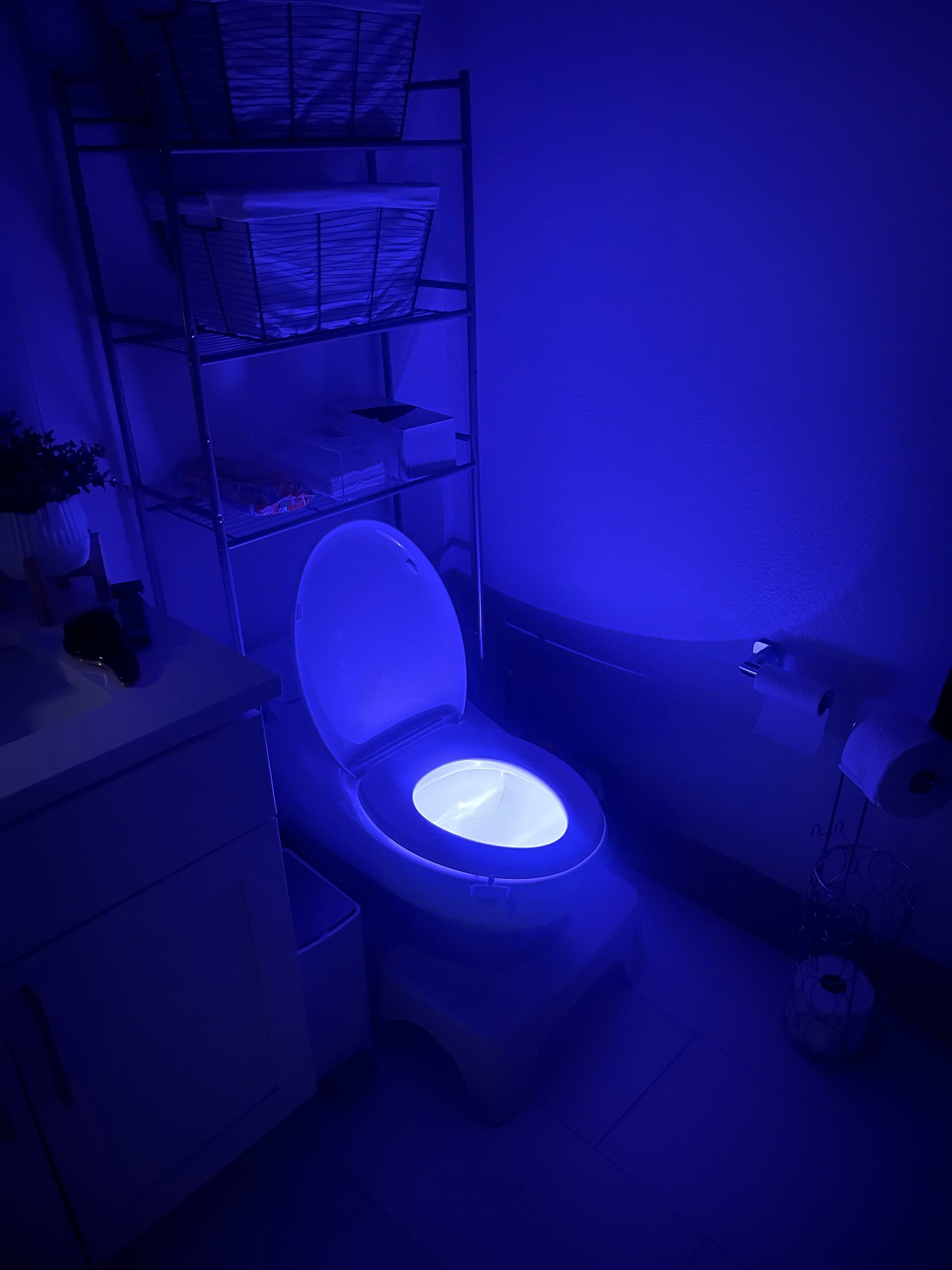 8 Color Led Toilet Night Light Motion Sensor Bowl Glow Sensing Bathroom Uv  Lamp Gift