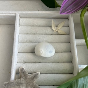 May include: A white seashell with a spiral pattern sits in a white ring holder. A gray starfish and a dried leaf are also in the holder.
