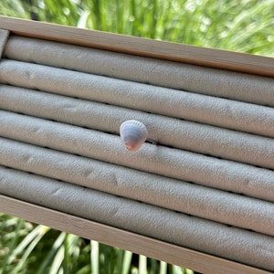 May include: A white seashell ring in a wooden ring box with a white velvet interior.