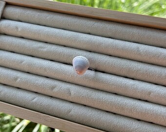 Sunset Clam Seashell On Silver Ring // “Summer’s Midnight” // Coastal Jewerly // Shell Ring