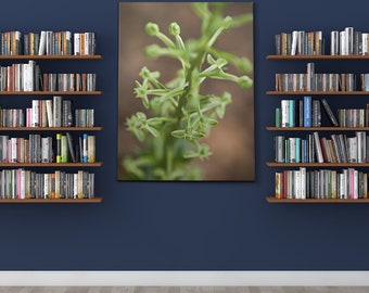 Stretched Canvas Flower Floral Fine Art Photo Print Green Brown Bush Succulent Macro Blur Bokeh Photography Nature Plants Natural