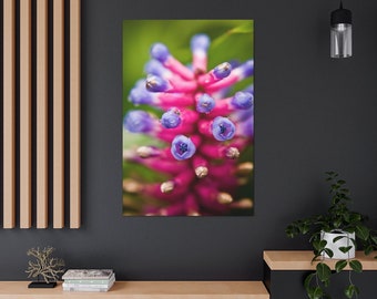 Stretched Canvas Flower Floral Fine Art Photo Print Purple Pink Matchstick Bromeliad Macro Blur Bokeh Photography Nature Plants Natural
