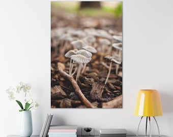 Stretched Canvas Mushrooms Earth Earthy Flower Floral Fine Art Photo Print Brown White Macro Blur Bokeh Photography Nature Plants Natural