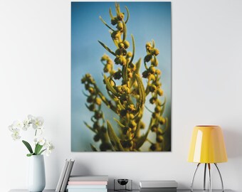 Stretched Canvas Flower Floral Fine Art Photo Print Green Yellow Blue Macro Blur Bokeh Photography Nature Plants Natural Bush Greenery