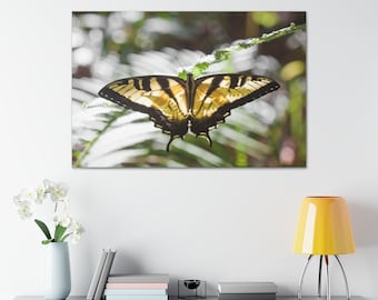 Stretched Canvas Butterfly Floral Fine Art Photo Print Yellow Black Insect Animal Flying Macro Blur Bokeh Photography Nature Plants Natural