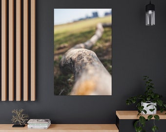 Stretched Canvas Flower Floral Fine Art Photo Print Fallen Log Branch Tree Green Blue Macro Blur Bokeh Photography Nature Plants Natural
