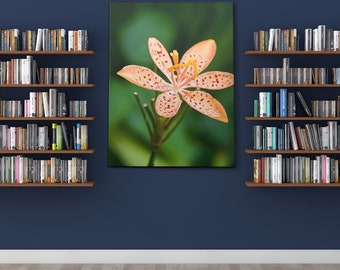 Stretched Canvas Flower Floral Fine Art Photo Print Orange Green Macro Blur Bokeh Photography Nature Plants Natural