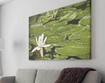 Stretched Canvas Flower Floral Fine Art Photo Print Lily Pads Dragonfly Insect White Pond Macro Blur Bokeh Photography Nature Plants Natural