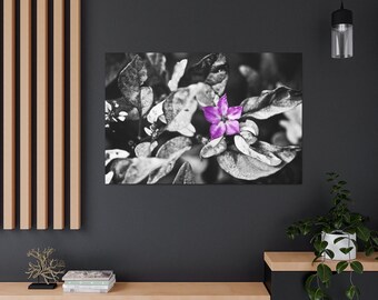 Stretched Canvas Flower Floral Fine Art Photo Print Purple Black and White Macro Blur Bokeh Photography Nature Plants Natural Bush B&W
