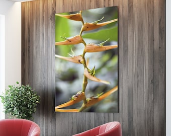 Stretched Canvas Flower Floral Fine Art Photo Print Orange Green Helconia Bird Paradise Macro Blur Bokeh Photography Nature Plants Natural