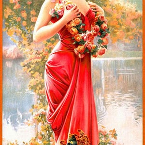 Póster de Gasper Camps Enraptured Rose 0000-1384