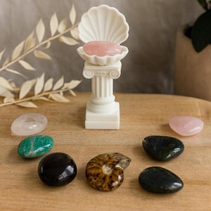 以下が含まれることがあります： ピンク色の石を載せた白い貝殻型のディスプレイスタンド。透明、緑、黒、茶色の模様の石、ピンク色の石など、さまざまな磨かれた宝石が周りに配置されています。ディスプレイは木製の表面にあります。