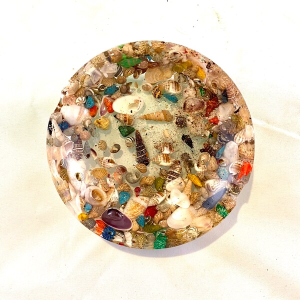 Seashell Ashtray Etsy